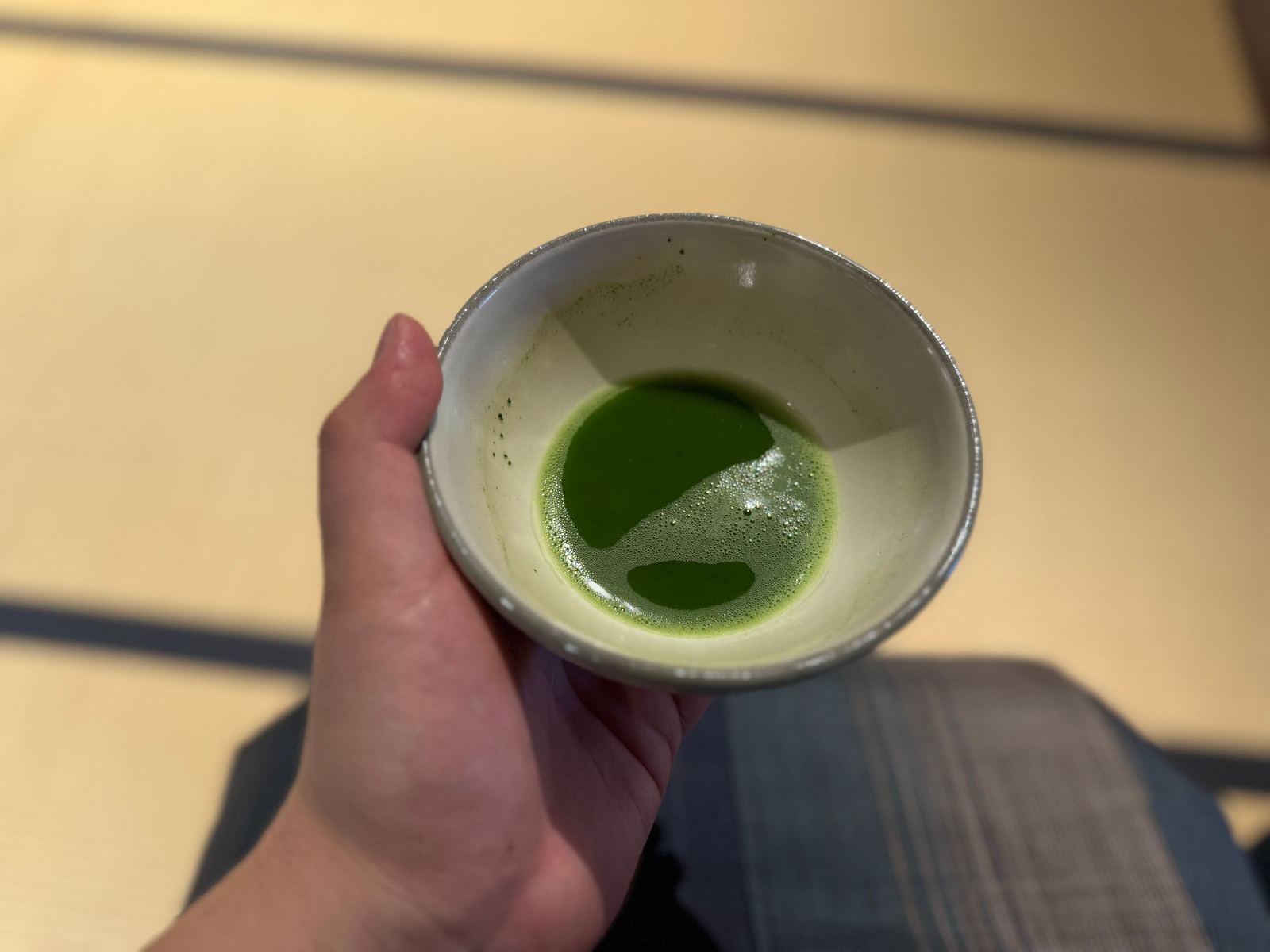 Rows of tea bushes at a matcha farm in Uji during the spring harvest