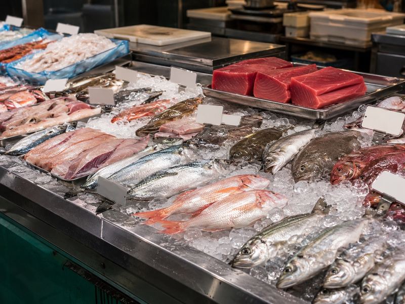 Wholesaler floor of Toyosu fish market with rows of fresh tuna